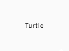 Turtle Management AG